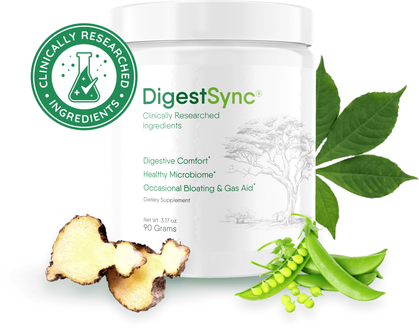 DigestSync buy